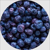 Dried_Blueberry